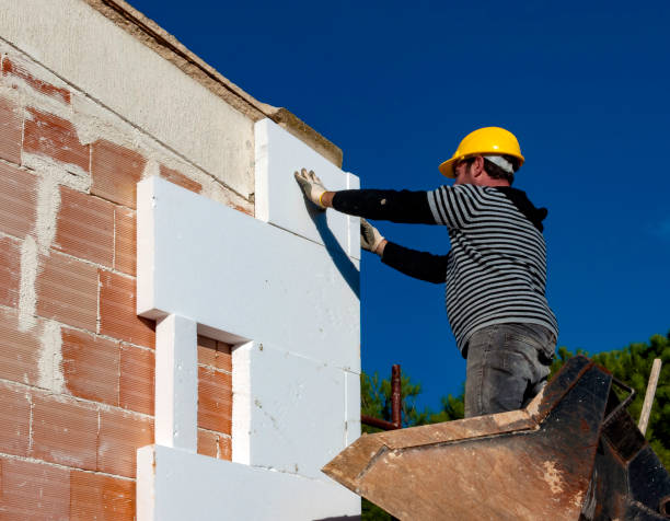 Best Cellulose Insulation in South Haven, MI