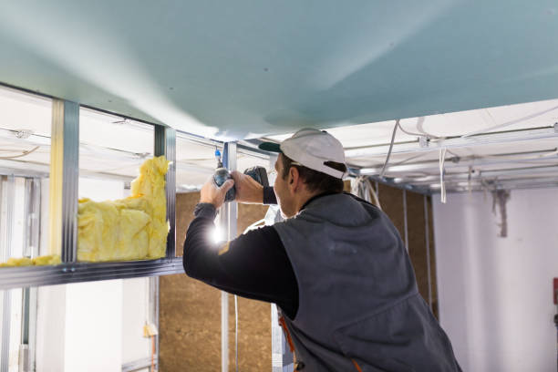 Best Specialized Insulation Services in South Haven, MI