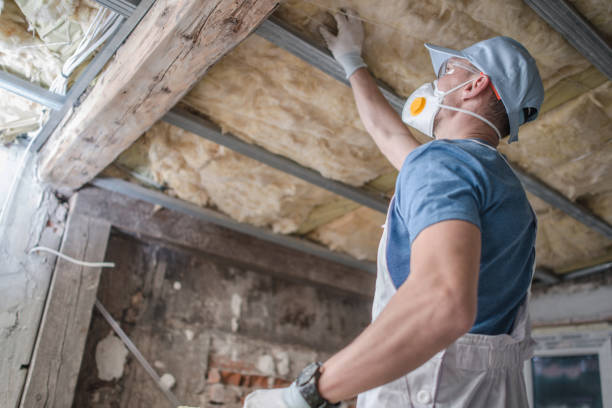 Best Spray Foam Insulation in South Haven, MI