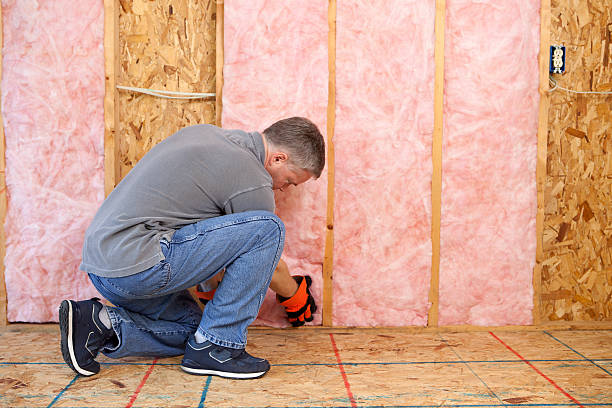 Best Insulation for Specific Applications in South Haven, MI
