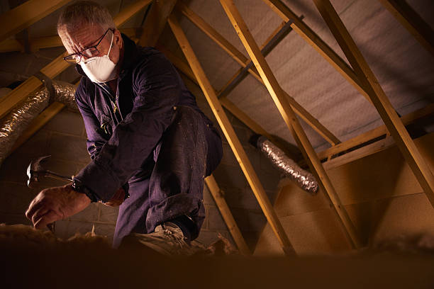 Best Geographic-Specific Insulation Services in South Haven, MI