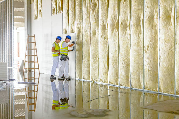 Types of Insulation We Offer in South Haven, MI
